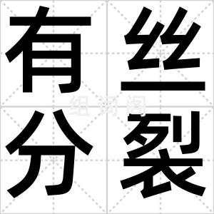 有丝分裂