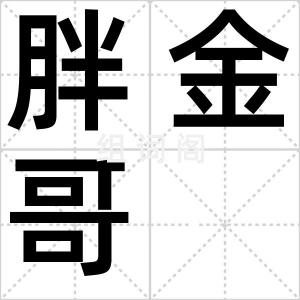 胖金哥