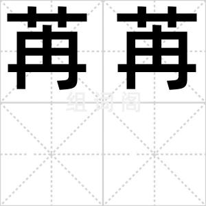 苒苒