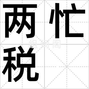 两忙税