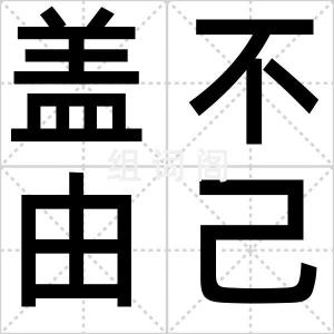 盖不由己
