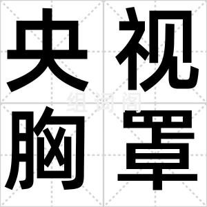 央视胸罩门