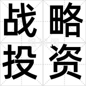 战略投资者