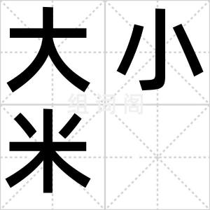 大小米