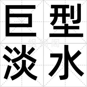 巨型淡水鱼