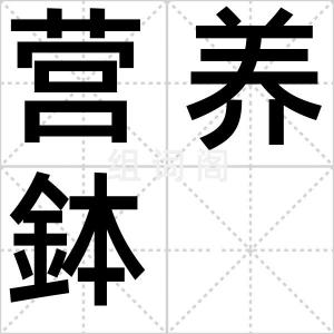 营养鉢