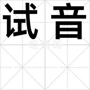试音