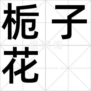 栀子花