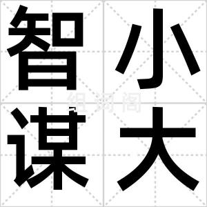 智小谋大