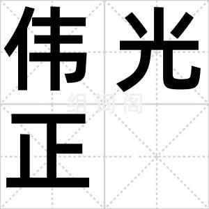 伟光正