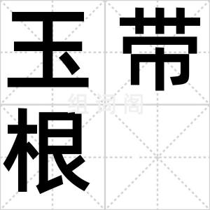 玉带根