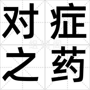 对症之药