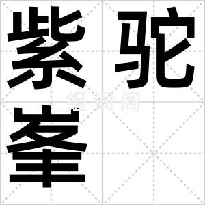 紫驼峯