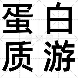 蛋白质游戏