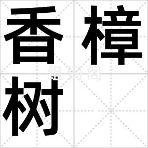 香樟树