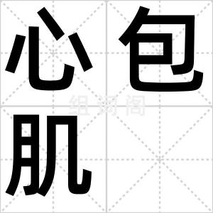 心包肌
