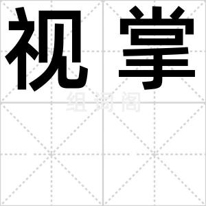 视掌