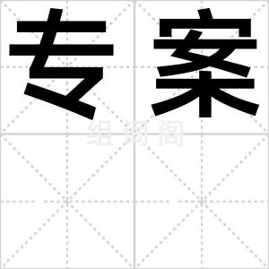 专案