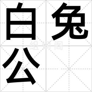 白兔公