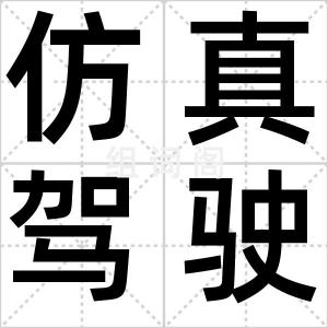 仿真驾驶员