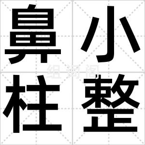 鼻小柱整形