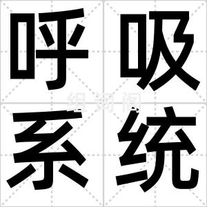 呼吸系统