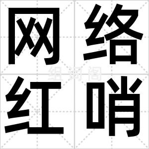 网络红哨兵