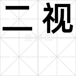 二视