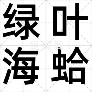 绿叶海蛤蝓