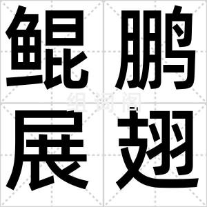 鲲鹏展翅