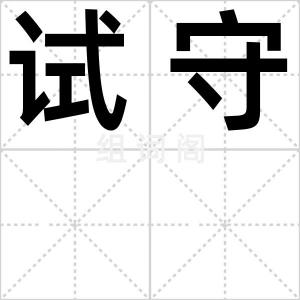 试守