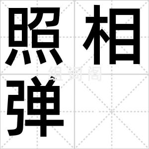 照相弹