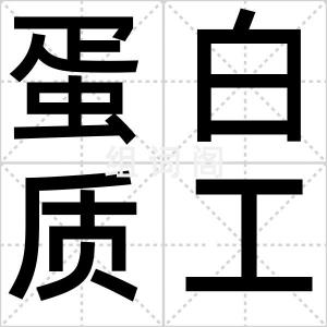 蛋白质工程