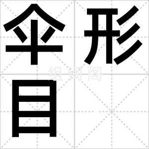 伞形目