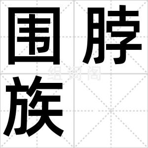 围脖族