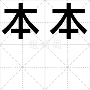 本本