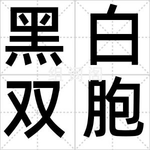 黑白双胞胎