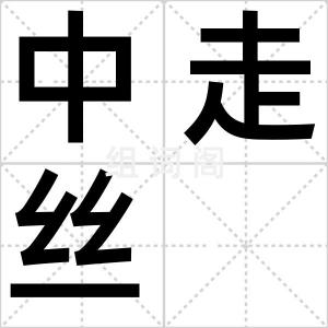 中走丝