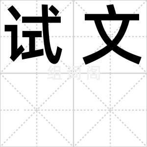 试文
