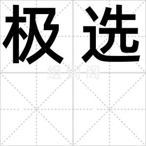极选
