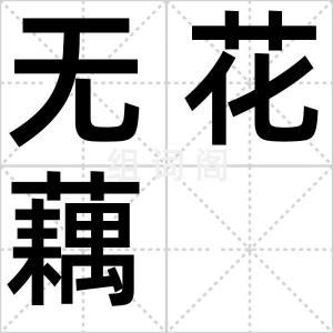无花藕