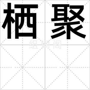 栖聚