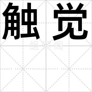 触觉