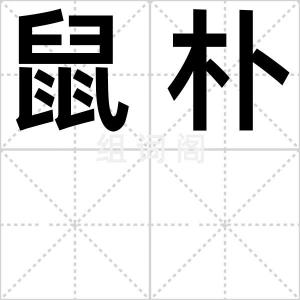 鼠朴