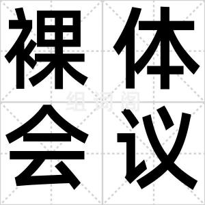 裸体会议室