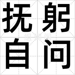 抚躬自问