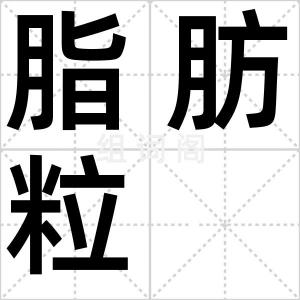 脂肪粒