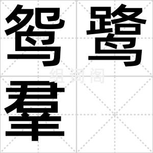 鸳鹭羣