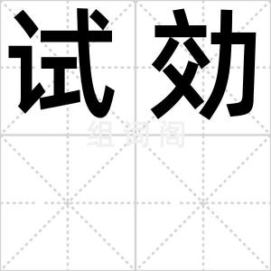 试効