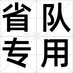 省队专用
